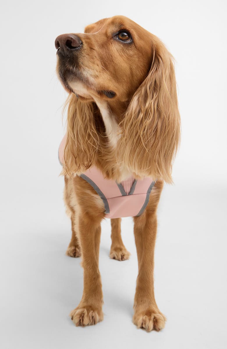 Barbour Evie Waterproof Dog Coat, Alternate, color, Gardenia Pink