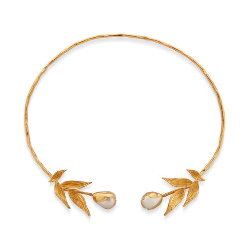 Dhwani Bhansal Reva Choker In Gold Plated