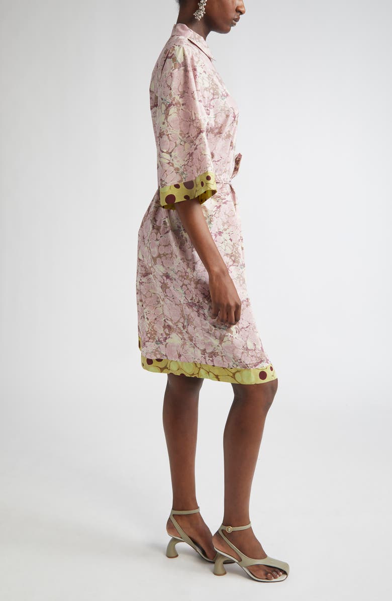 Dries Van Noten Doralia Mixed Print Belted Cotton Poplin Shirtdress, Alternate, color, 