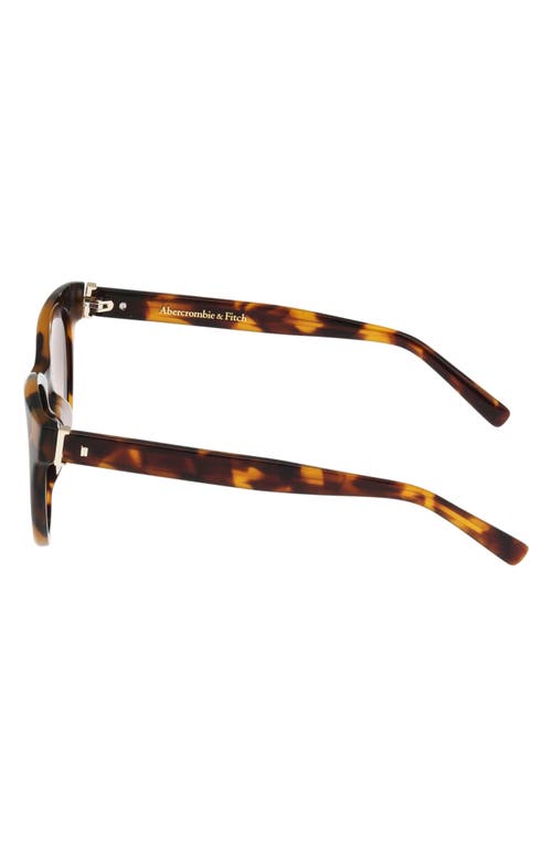 Abercrombie & Fitch 52mm Gradient Cat Eye Sunglasses In Brown