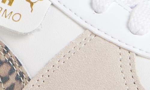 Puma Palermo Leo Sneakers In White-vapor Gray