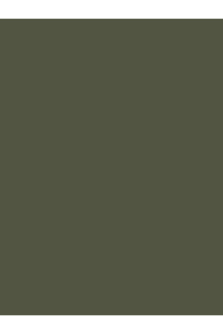MERINO FINE KNIT BOAT NECK SWEATER, Alternate, color, OLIVE
