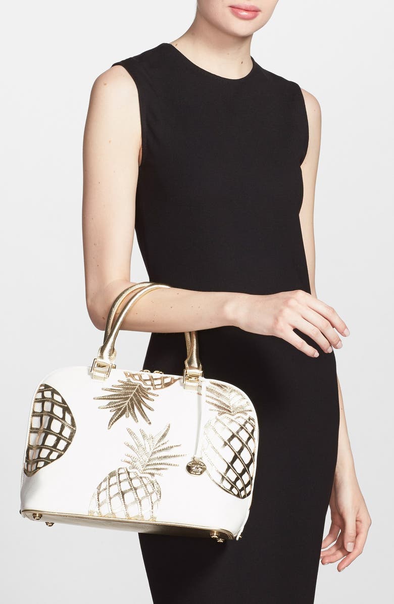 Brahmin , Alternate, color,