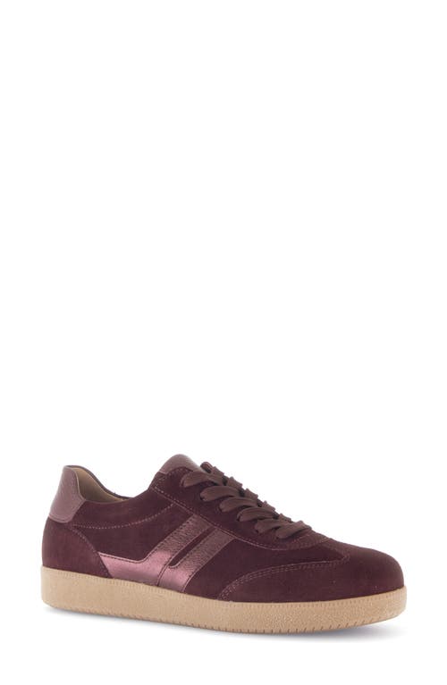 Gabor Stripe Low Top Sneaker In Burgundy