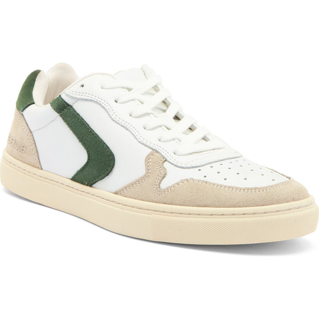 Steve Madden Low Top Sneaker