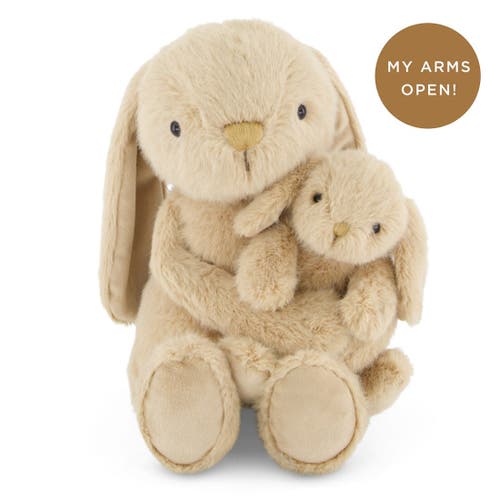 Snuggle Bunnies Stuffed Animal Frankie The Hugging Bunny In Brown