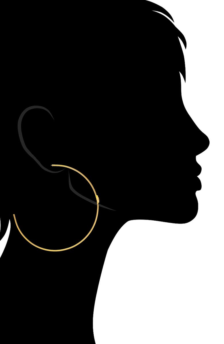 RIVKA FRIEDMAN 18K Yellow Gold Clad Pavé Crystal Evil Eye Hoop Earrings, Alternate, color, 