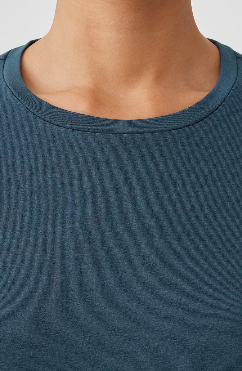 Eileen Fisher Crewneck Long Sleeve Tunic Top, Alternate, color,