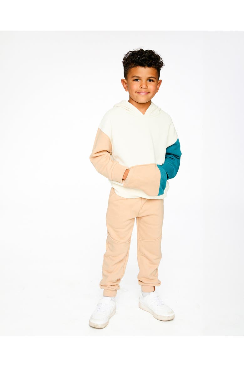 Long Sleeve French Terry Hoodie, Alternate, color, Off-White