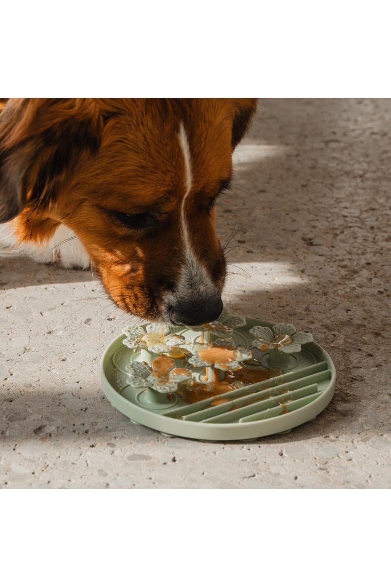 Hide & Seek Slow Feeder, Dog & Pet, Meal & Treat Feeding, Alternate, color, Green