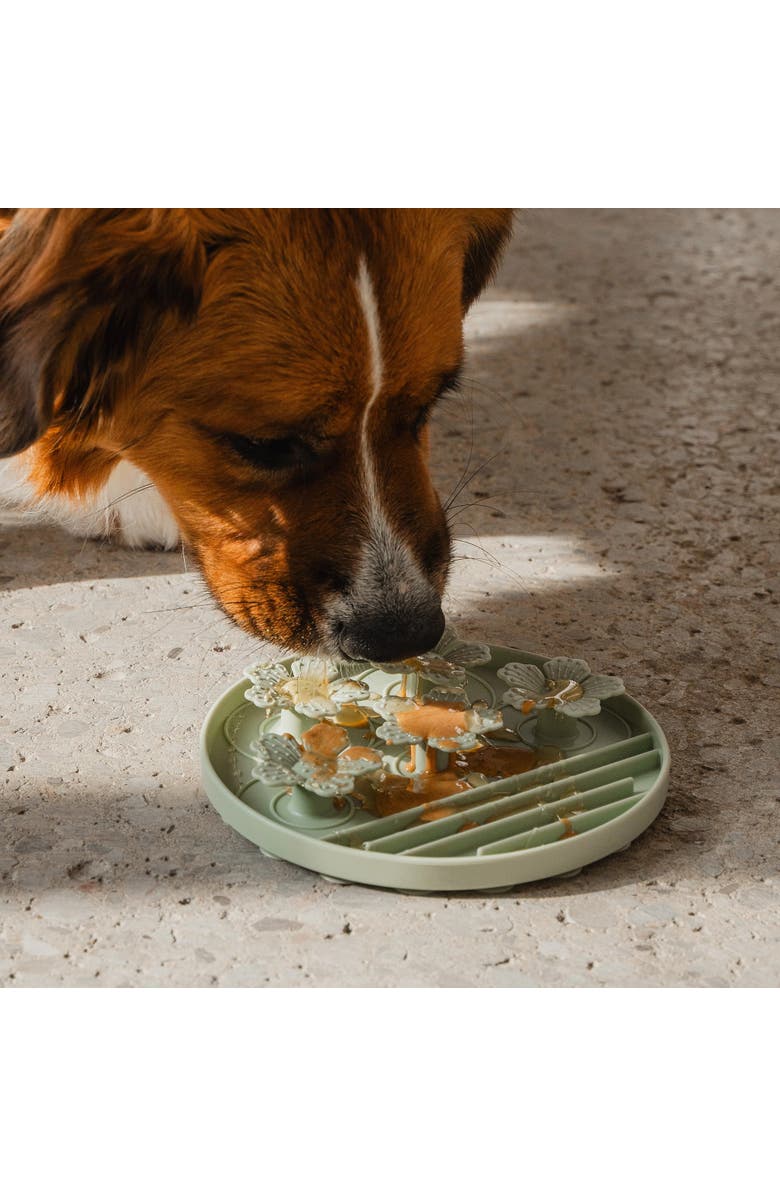 Dexypaws Hide & Seek Slow Feeder, Dog & Pet, Meal & Treat Feeding, Alternate, color, Green