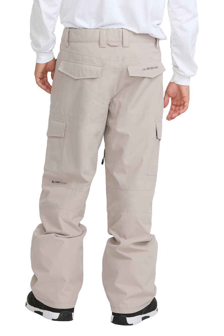 Porter 20K Waterproof Performance Cargo Snow Pants, Alternate, color, STRING