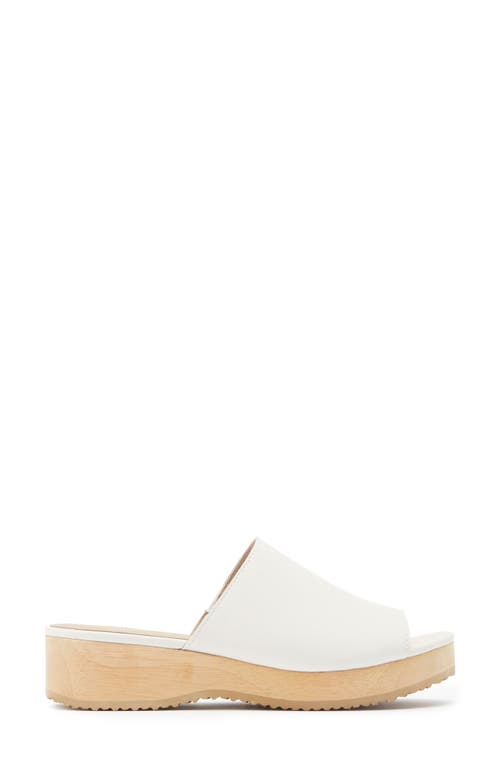 Eileen Fisher Novel Platform Slide Sandal In Bone