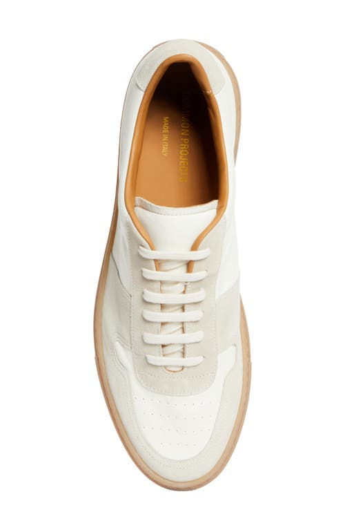 Common Projects Bball Panelled Leather Sneakers In 4102 Off White