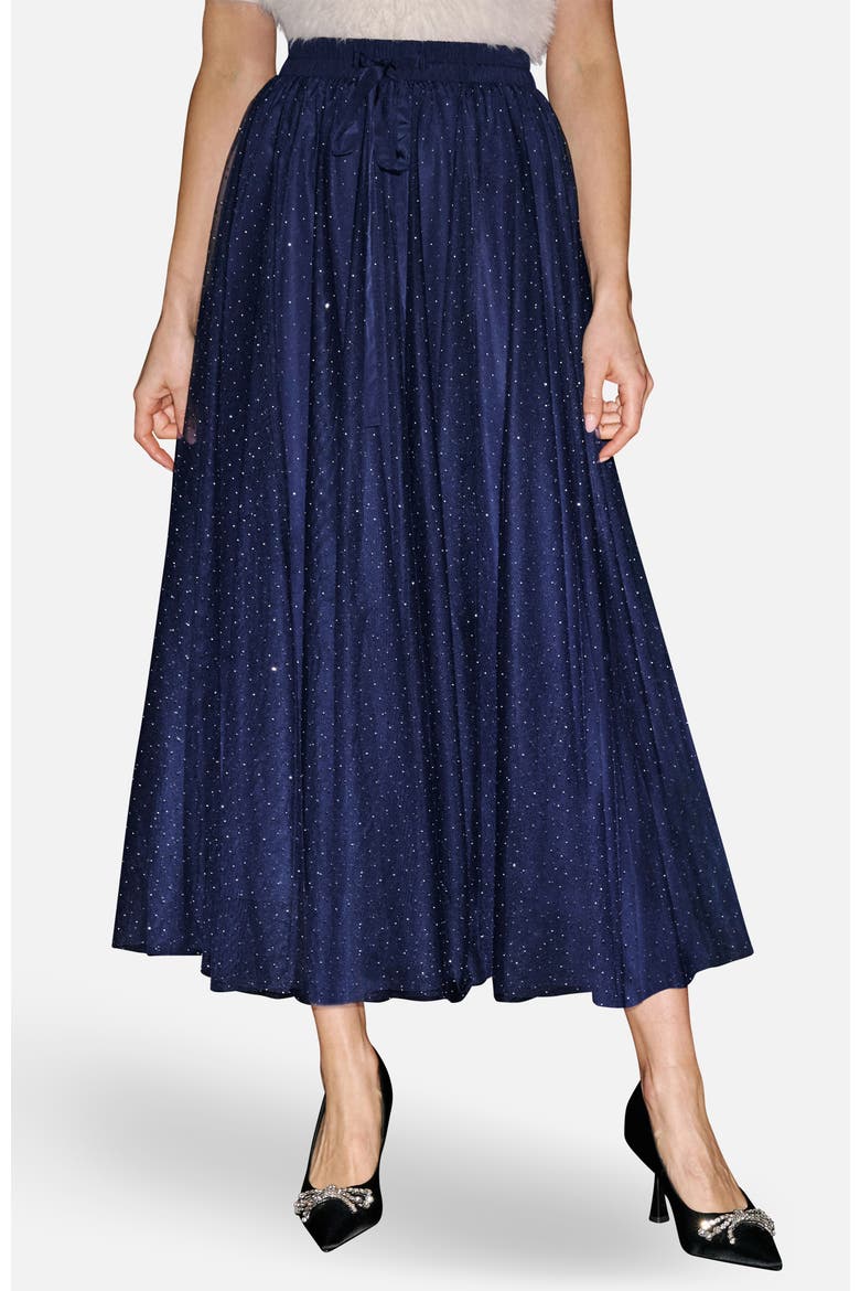 Sparkle Print Mesh Maxi Skirt, Main, color, Navy