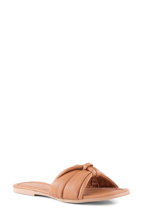 Seychelles Shades of Cool Slide Sandal in Tan at Nordstrom, Size 6