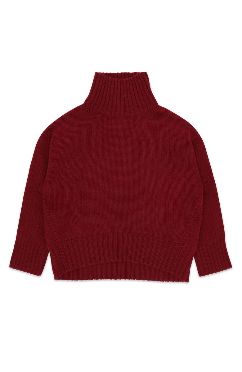 Fortela Ele High Neck Sweater, Main, color, Burgundy