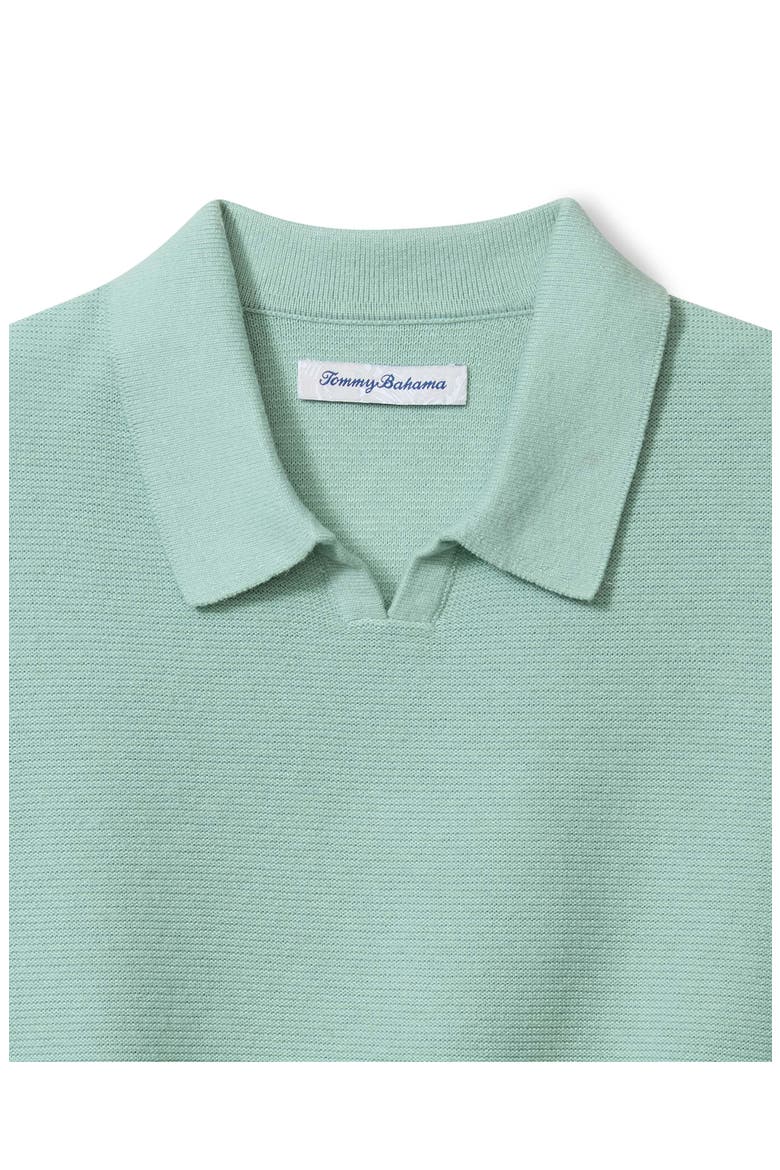 Capri Cove Johnny Collar Polo, Alternate, color, AQUIFER HEATHER