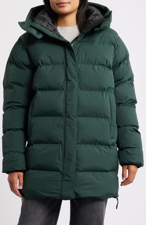 Helly Hansen Aspire Water Repellent Puffy Parka in Dark Jungle  product