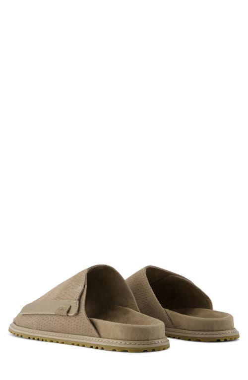 Toms Danilo Slide Sandal In Brown
