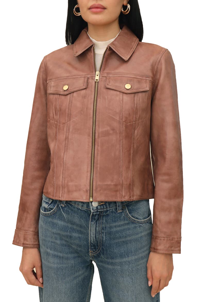 Leather Trucker Jacket, Alternate, color, BROWN