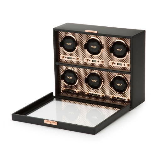 Wolf Axis 6 Piece Watch Winder In Copper