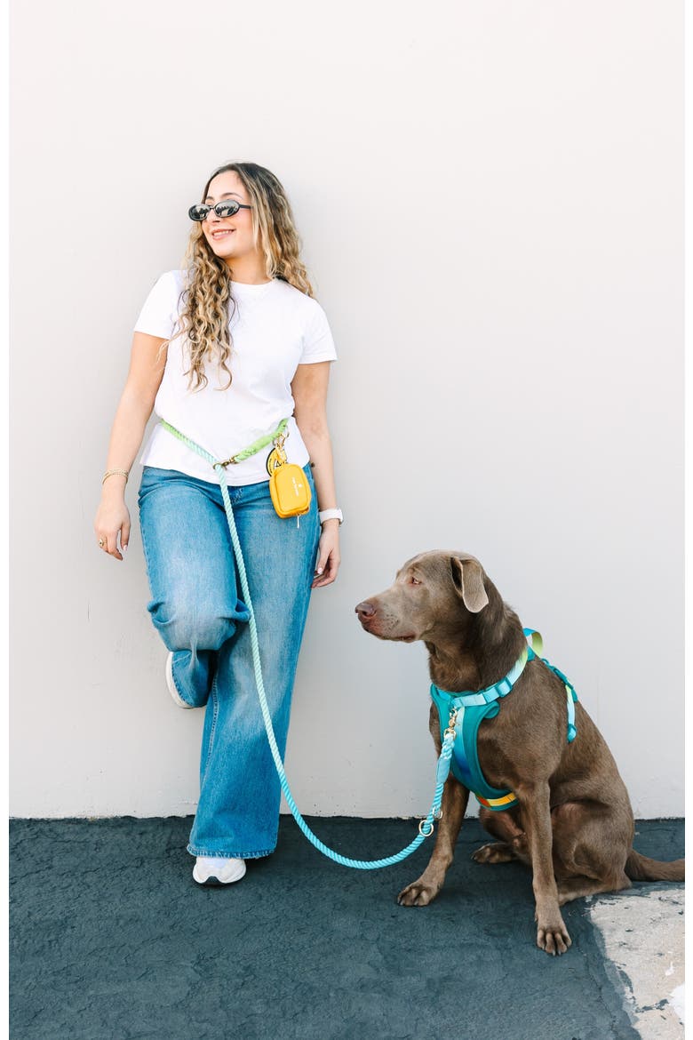 Alexandria Hands-Free Rope Dog Leash, Alternate, color, Alexandria 7ft