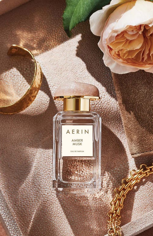 Estée Lauder Amber Musk Eau De Parfum Set $225 Value In Transparent