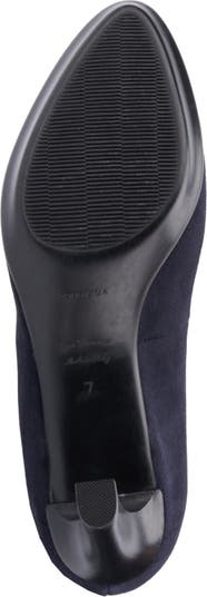 Raysa Platform Pump