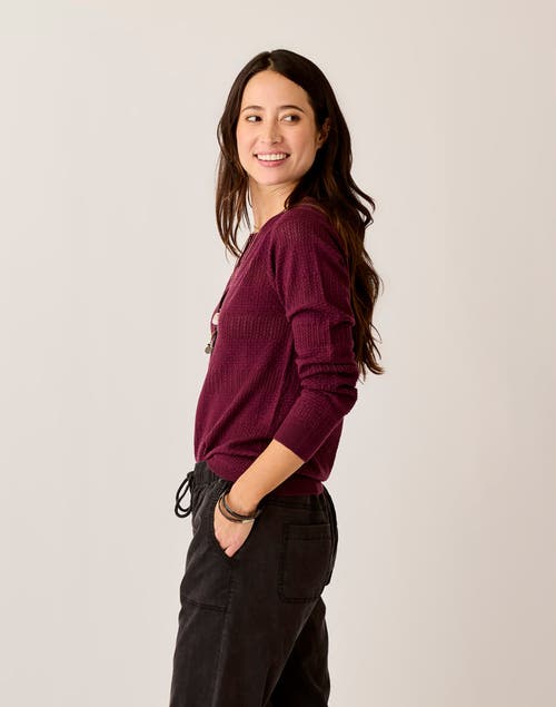 Cave Designs Amara Pointelle Sweater In Burgundy