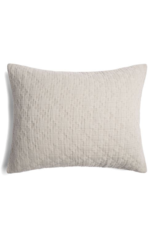 Parachute Desert Set Of 2 Cotton Shams In Bone