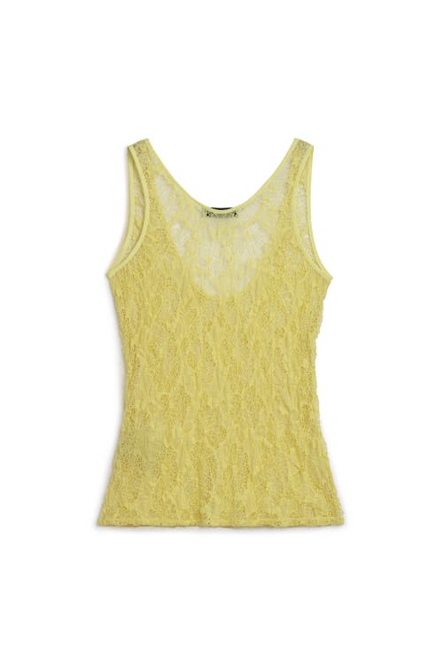 Nocturne Halter Neck Lace Blouse In Yellow