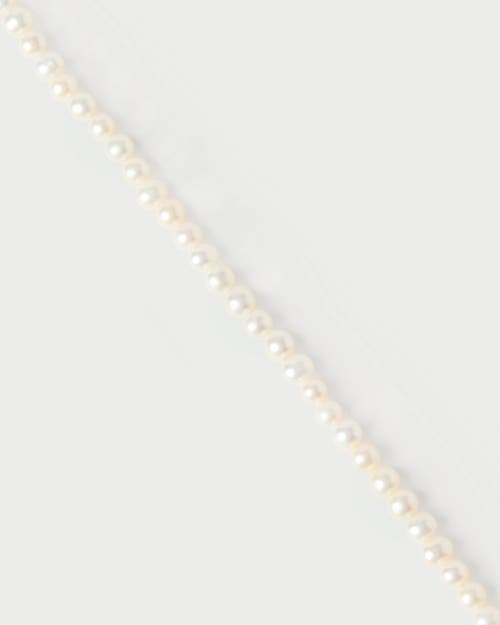 Pdpaola La Perla Essential Bracelet In Black