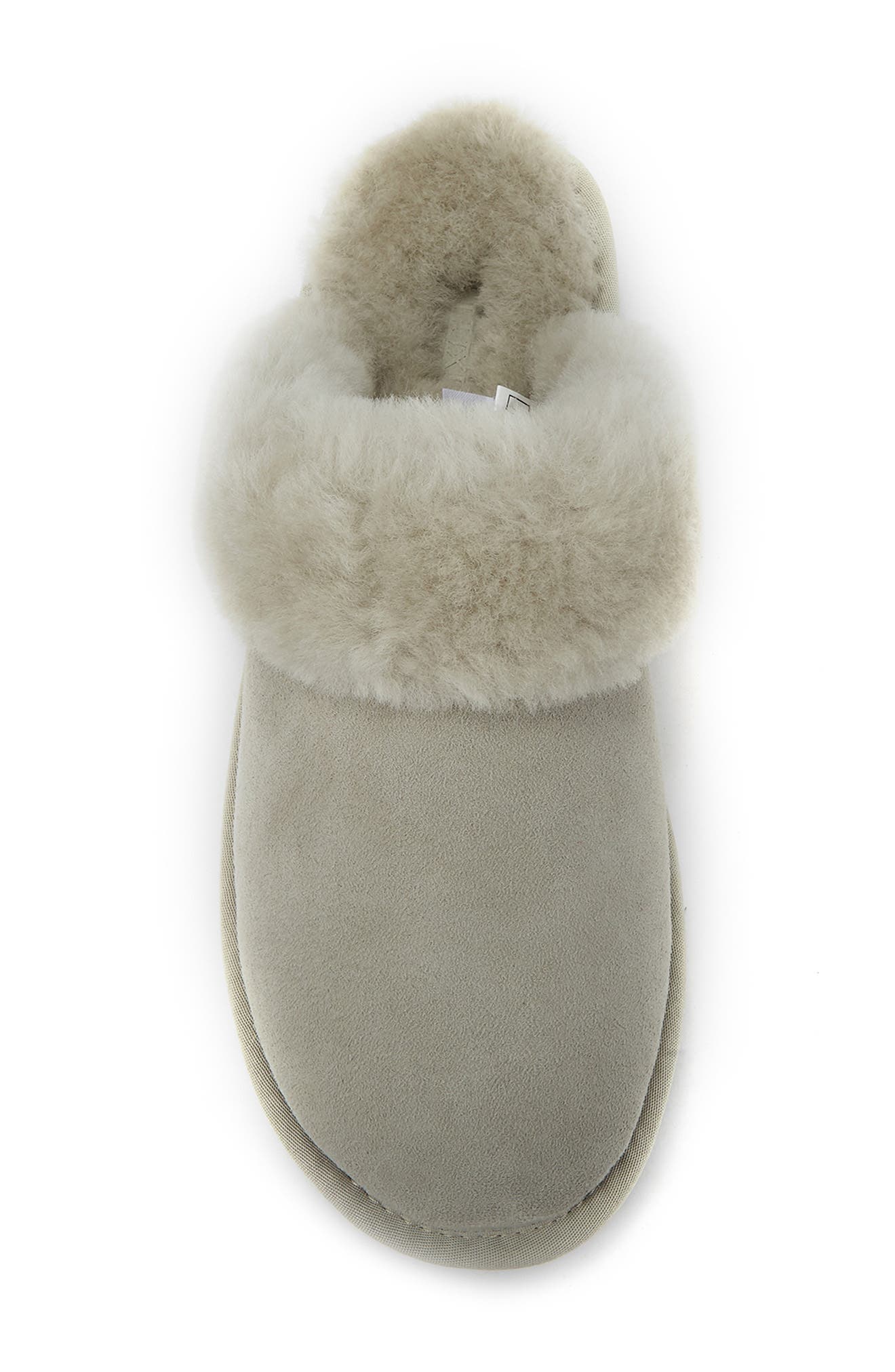 Australia Luxe Collective Mool Genuine Shearling Slipper, Alternate, color, Ice Gray