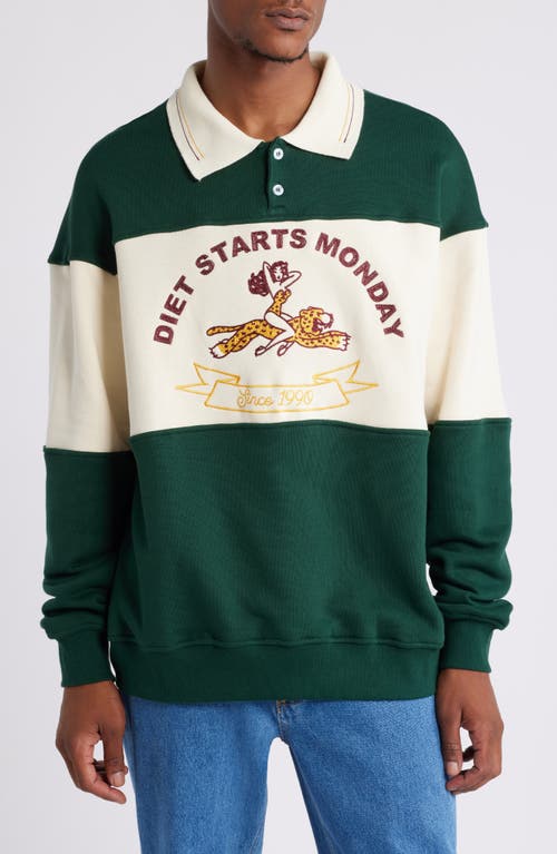 DIET STARTS MONDAY Cheetah Embroidered Colorblock Cotton Graphic Rugby Shirt in Green  product