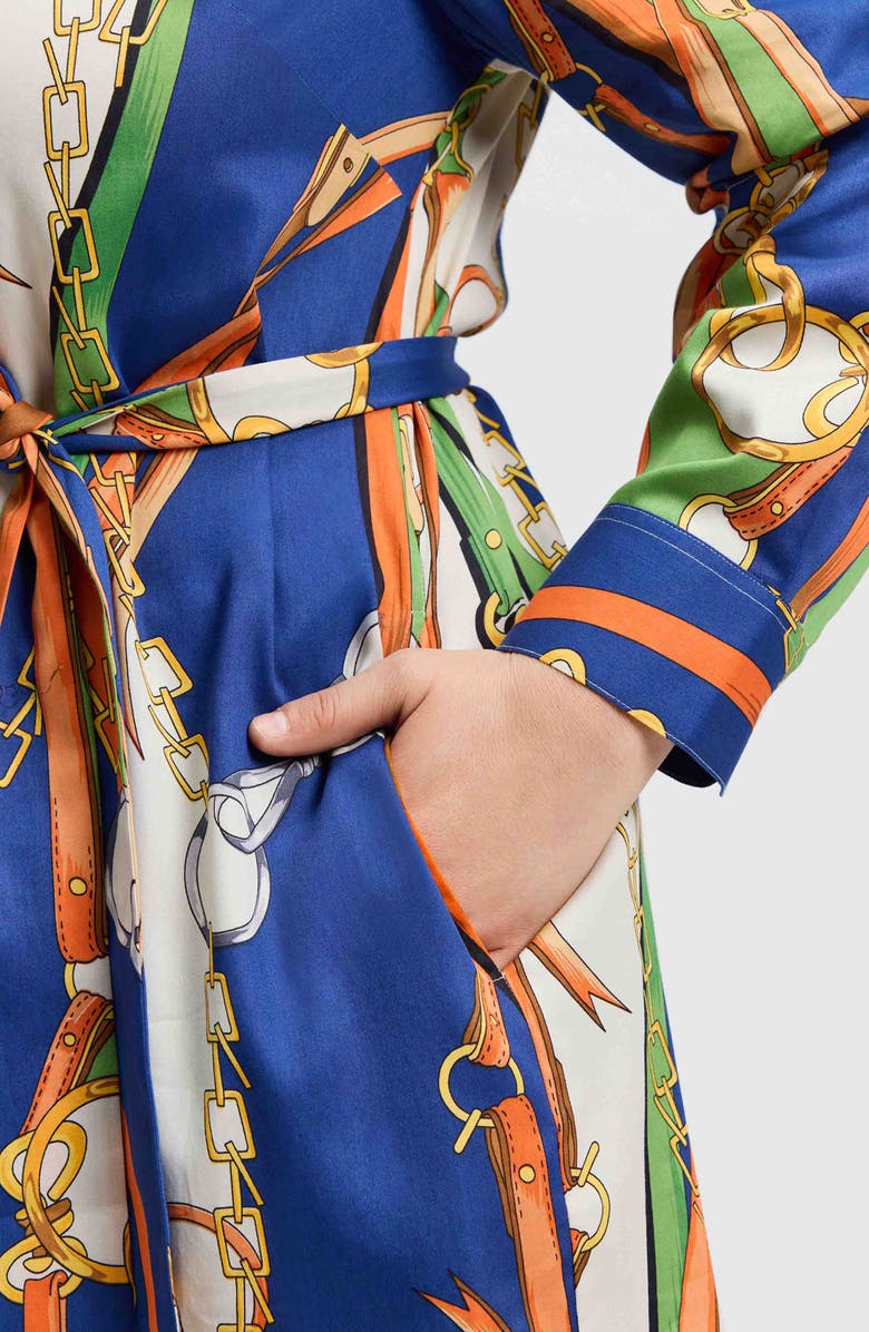 Foxcroft Rocca Chain Print Belted Long Sleeve Shirtdress, Alternate, color, Green Multi