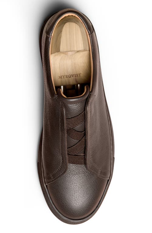 Myrqvist Alnö Elastic Sneakers In Brown