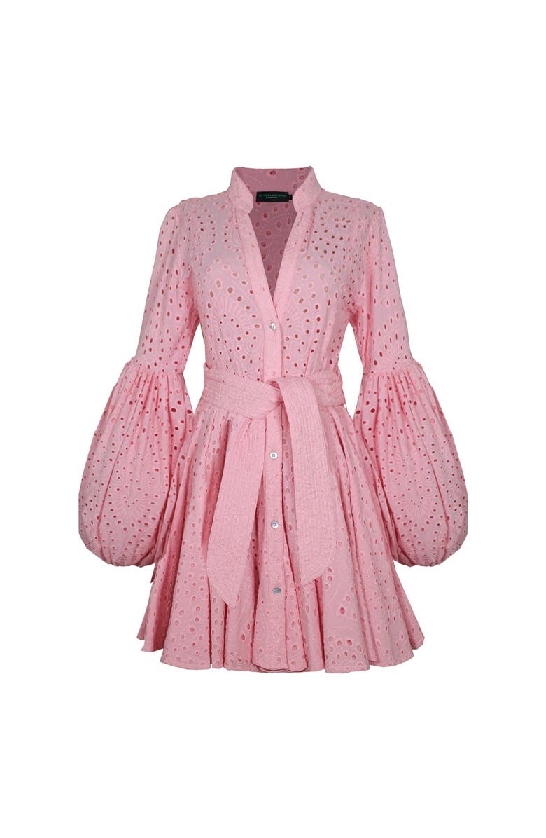 NO PISE LA GRAMA Carta Y Letra Dress, Main, color, Pink Eyelet