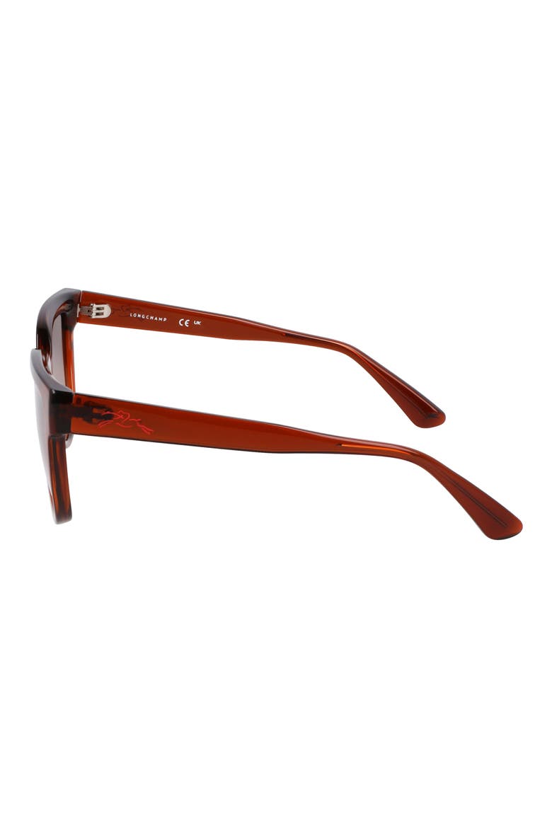 Le Pliage 52mm Round Sunglasses, Alternate, color, TRANSPARENT RUST