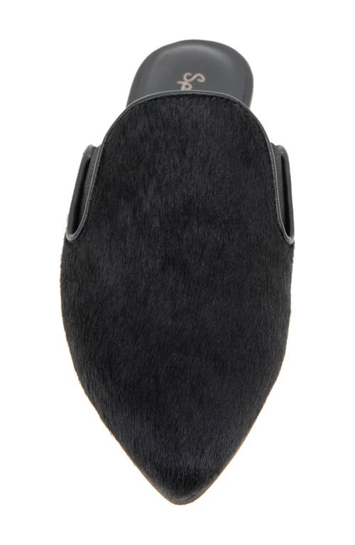 Splendid Liza Pointed Toe Mule In Black