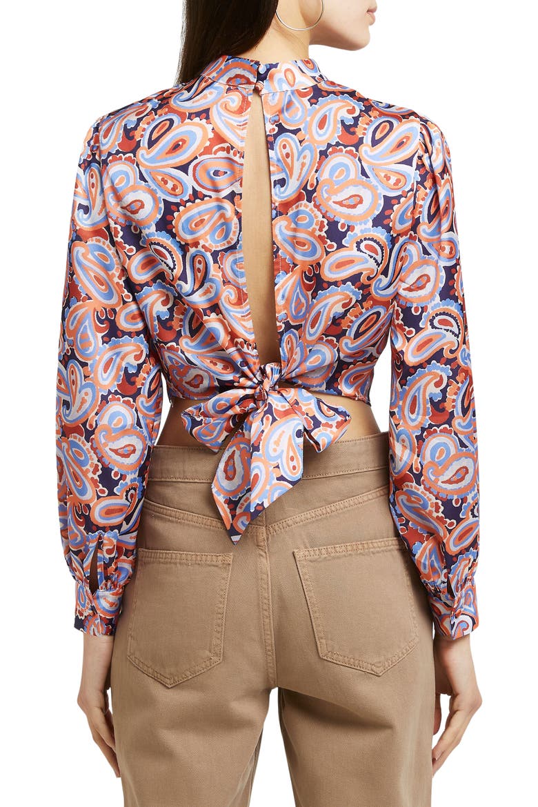 Tie Back Long Sleeve Crop Top, Alternate, color, ORANGE