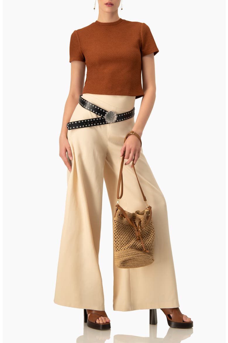 Textured Knit Short Sleeve Top, Alternate, color, Brown