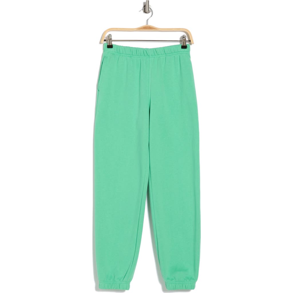 Abound Fleece Sweatpants In Green Katydid