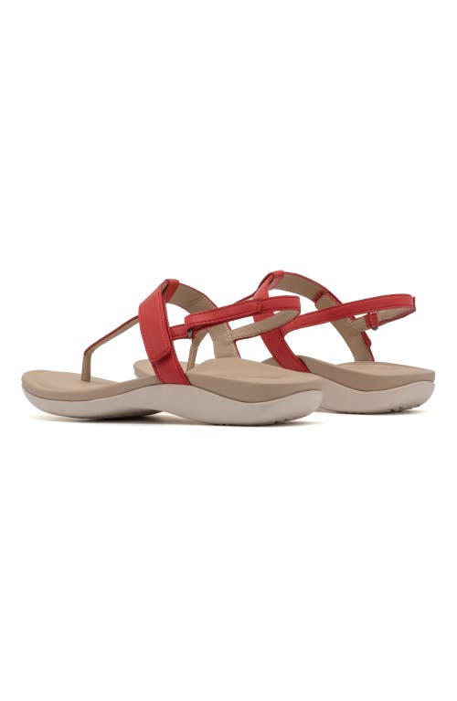 ABEO ABEO OASIS T STRAP SANDAL