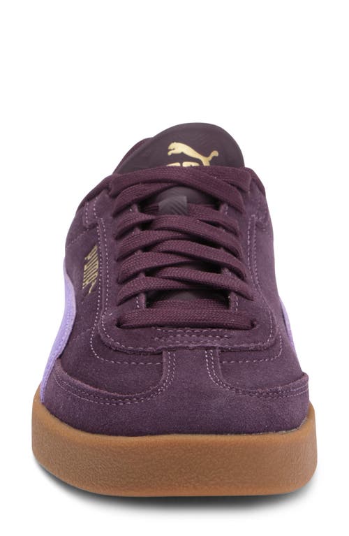 Puma Club Ii Era Sneaker In Midnight Plum-lavender Alert