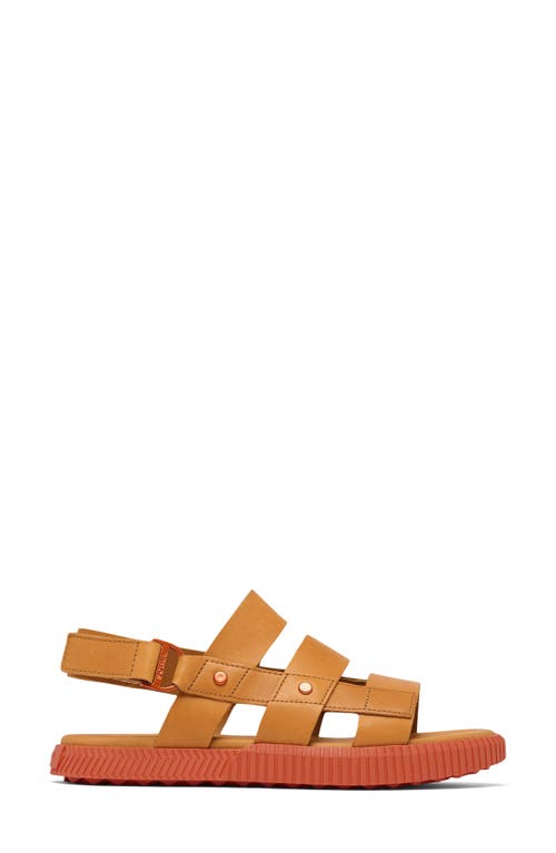 Sorel Ona Ave Slingback Sandal In Brown