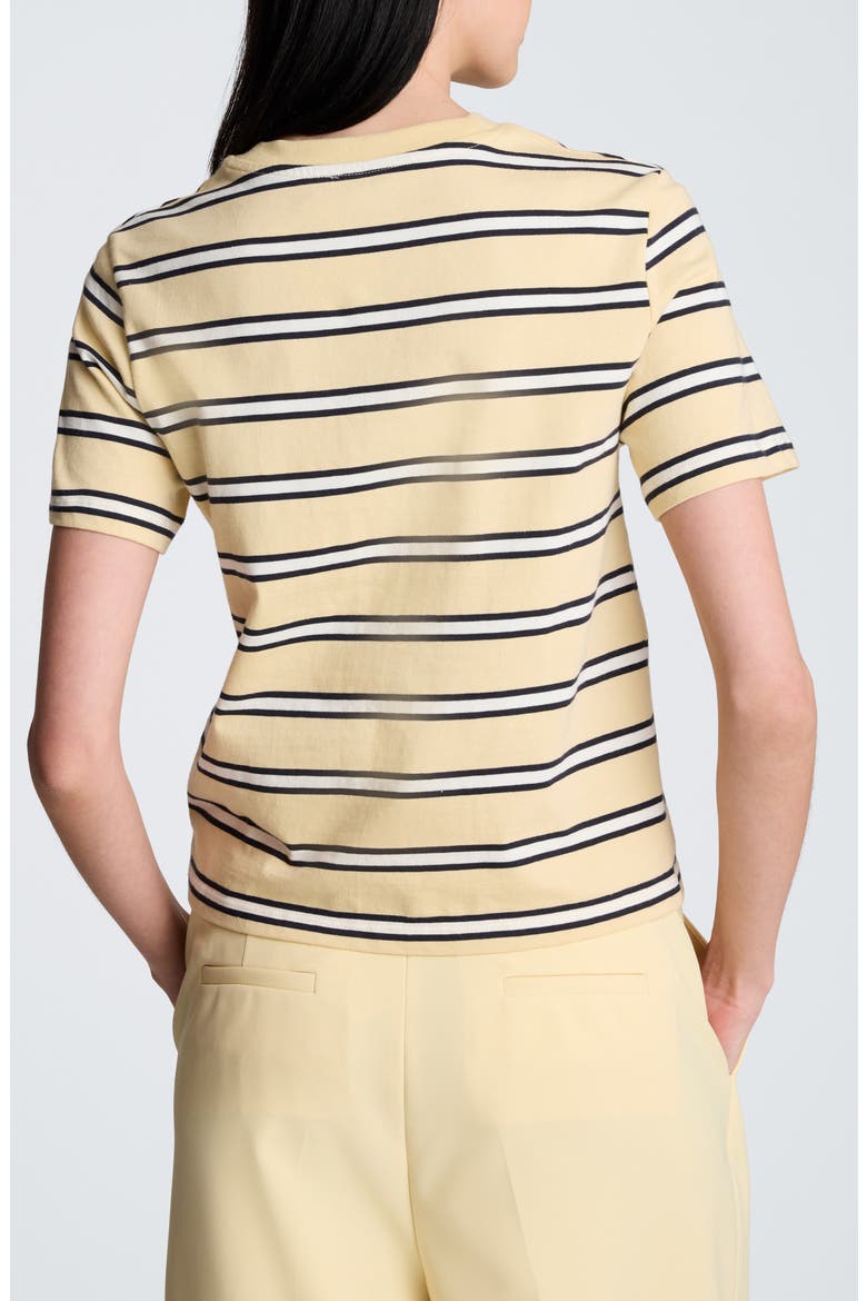 Stripe Heavyweight T-Shirt, Alternate, color, PASTEL YELLOW MULTI