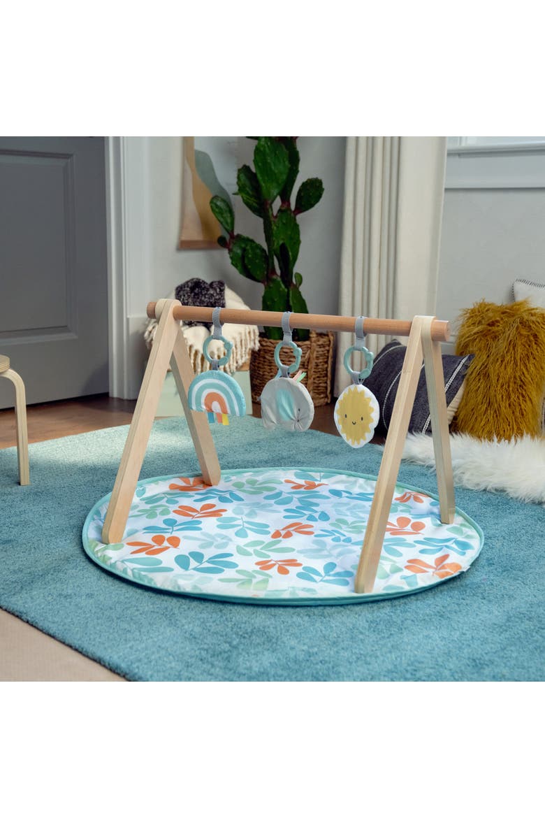 Sun Valley Wooden Toy Arch & Baby Play Mat, Alternate, color, BABY BLUE