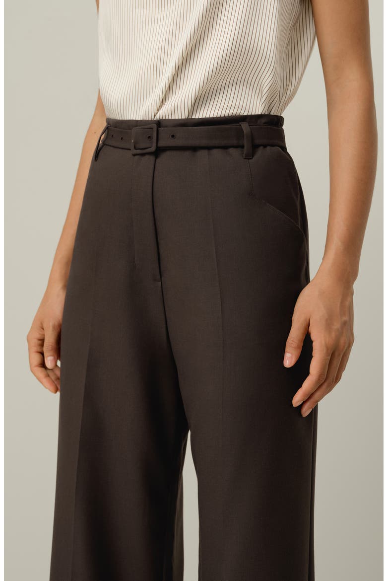 Women's Silk-Wool Blend High-Waisted Wide-Leg Pants, Alternate, color, Chestnut