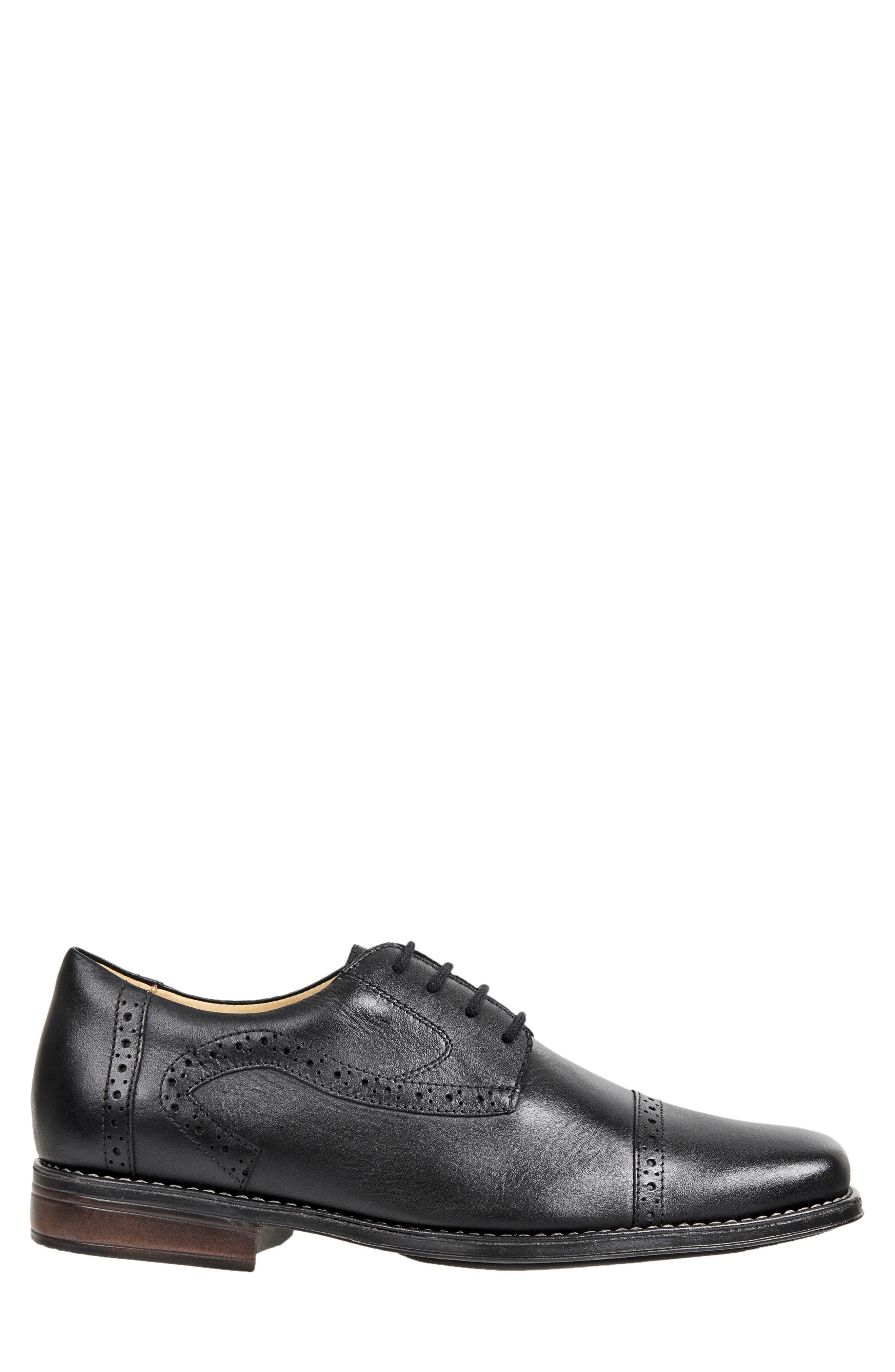 Sandro Moscoloni 'Bruce' Oxford, Alternate, color, 
